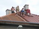 2009 Stecha akovice